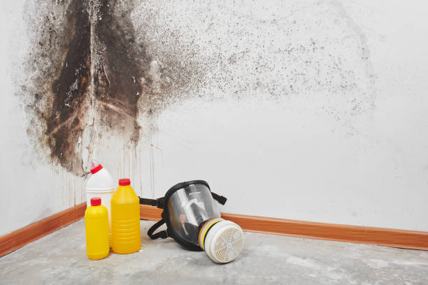 Best Biohazard Mold Removal  in Lindsay, CA